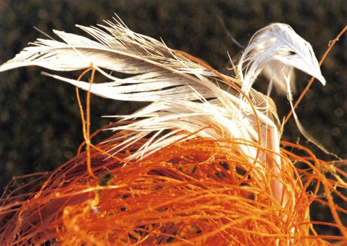 Kandestederne 9 / Dänemark