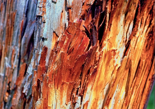 Blitzeinschlag / Poschiavo / Schweiz