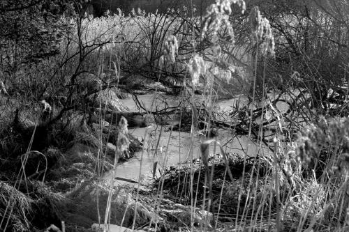 Am Elbsee 1 / Allgäu