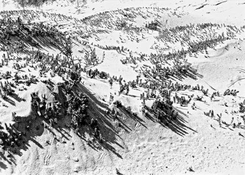 Kleine Sandfläche / Hulsig / Dänemark