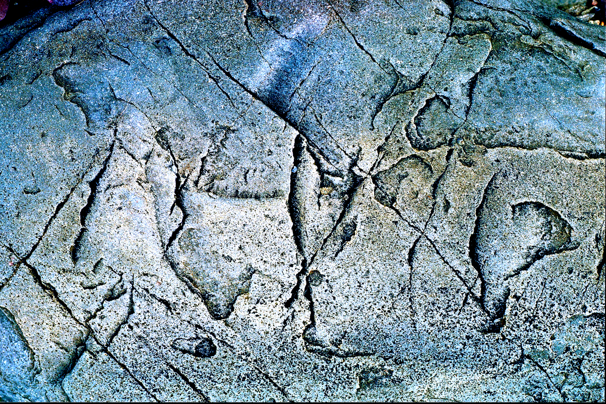 Zwischen Kirkenes und Alta 1 / Norwegen