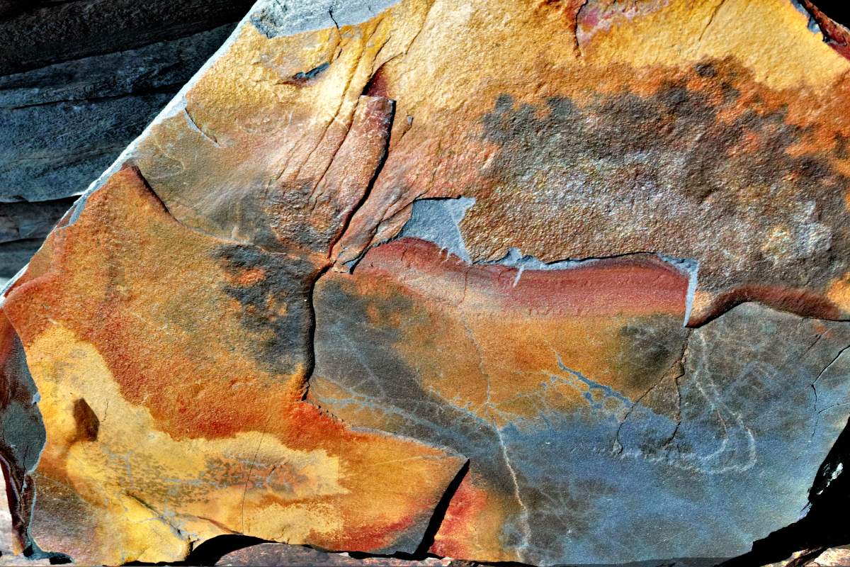 Zwischen Kirkenes und Alta 10 / Norwegen