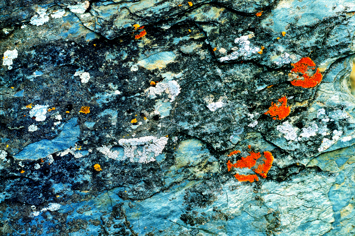 Zwischen Kirkenes und Alta 6 /Norwegen