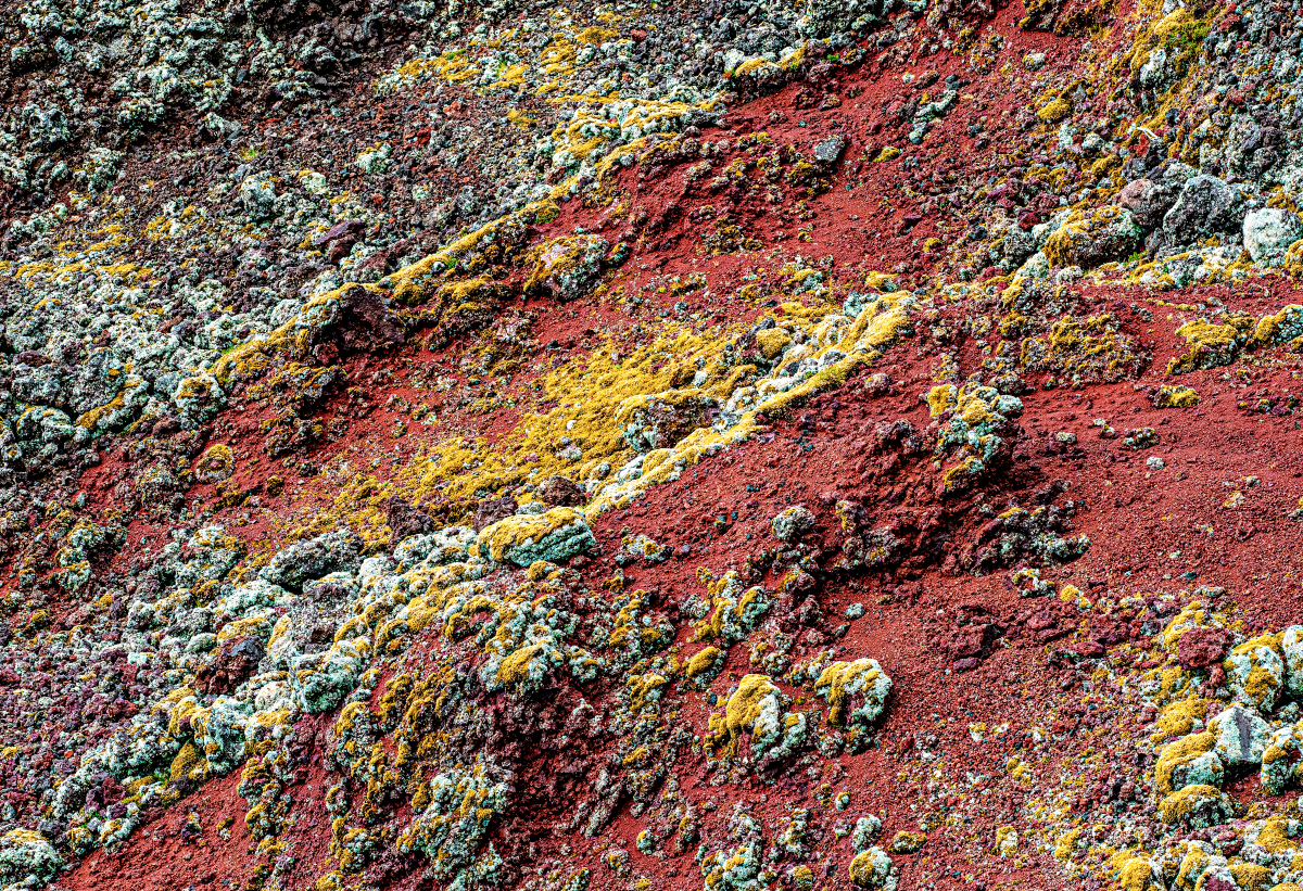 Lavaformationen, Halbinsel Snaefellsnes / Island