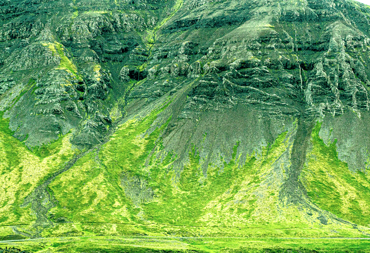 Gras und Flechten, Halbinsel Snaefellsnes / Island