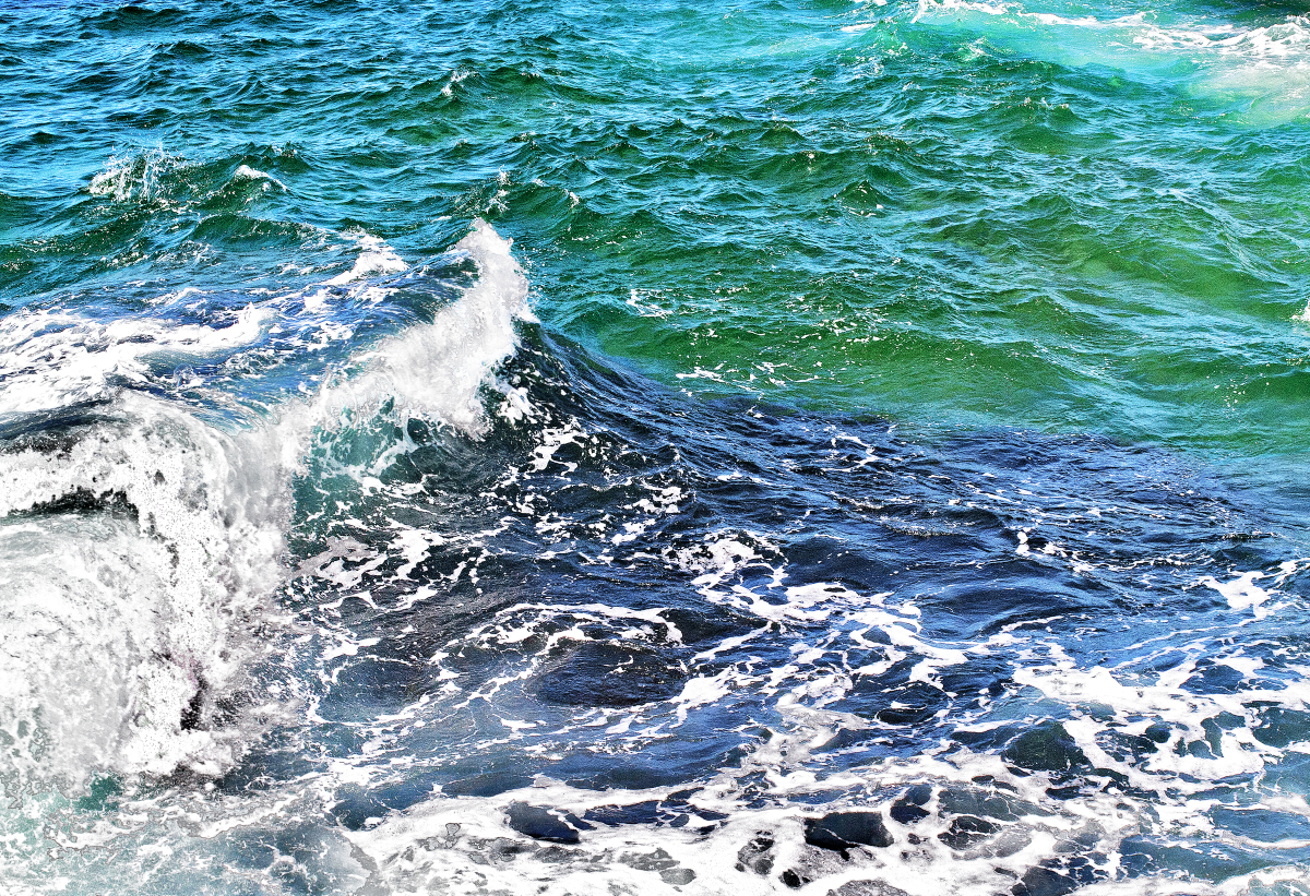 Avoca Beach / Australien